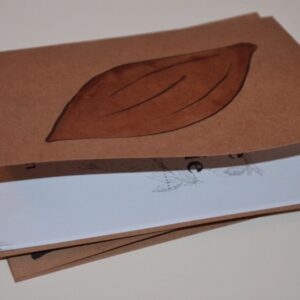 Carnet de chocologie